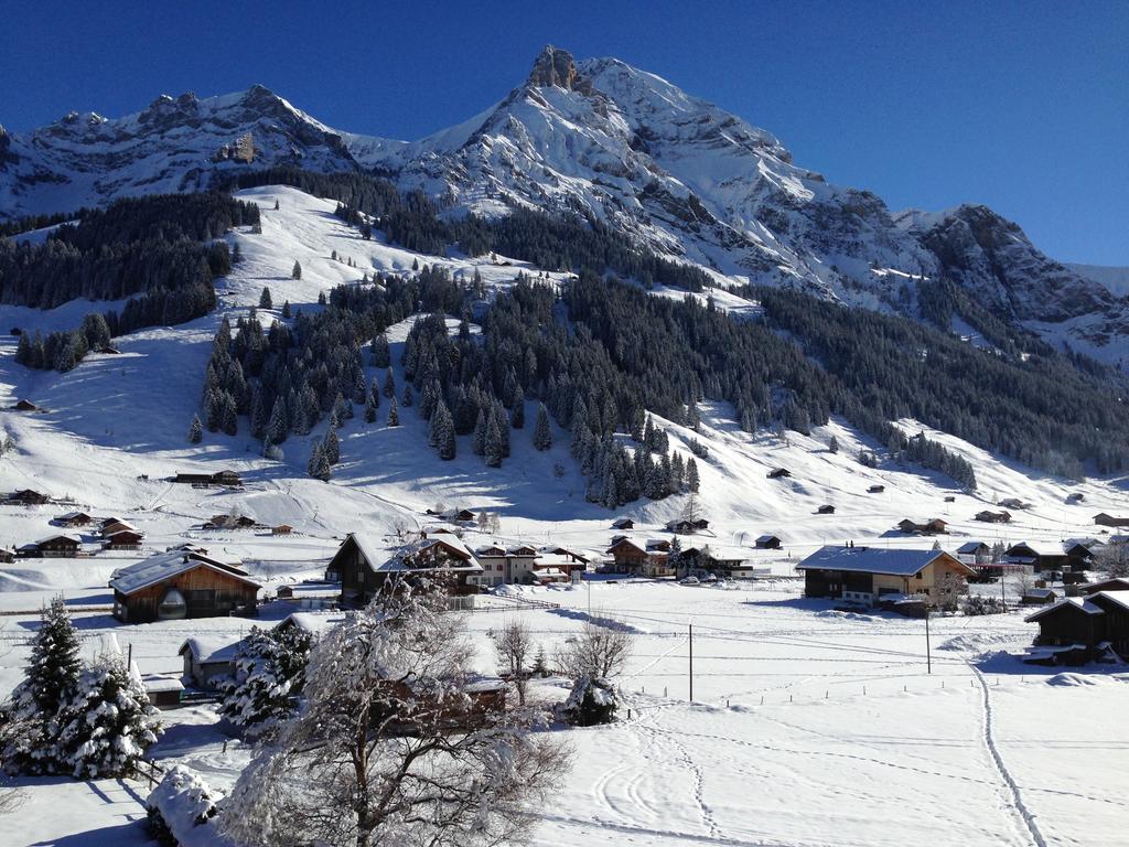 Chalet Butterfly Adelboden Szoba fotó