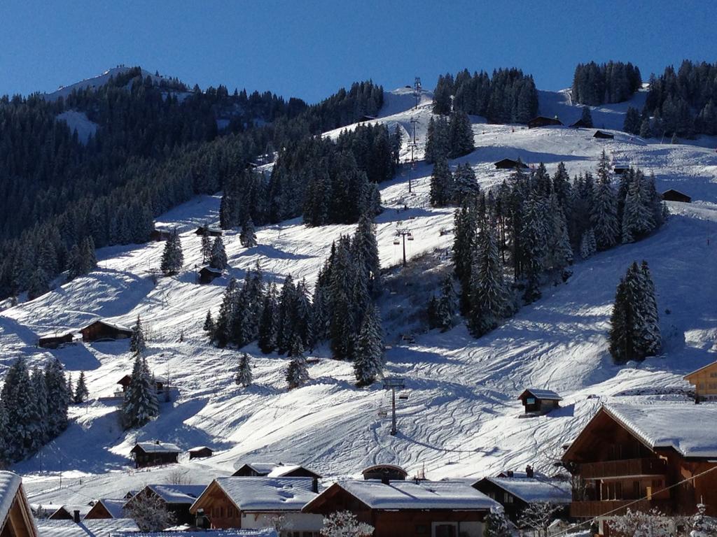 Chalet Butterfly Adelboden Szoba fotó